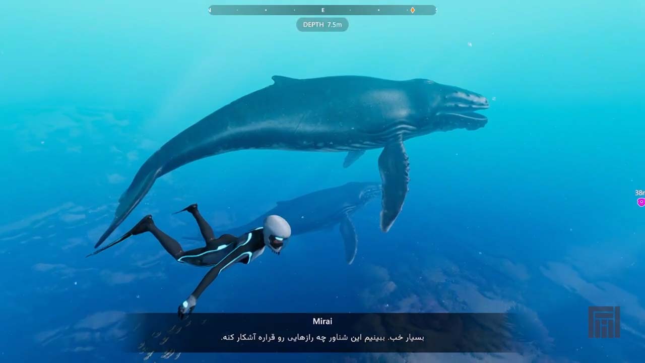 Beyond Blue | ال آی مدیا | بزرگترین مرجع دانلود فارسی ساز و زیرنویس فارسی بازی های کامپیوتری